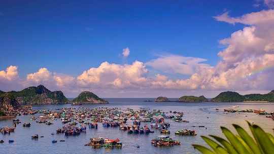 Những hoạt động thú vị khi đi tour Cát Bà