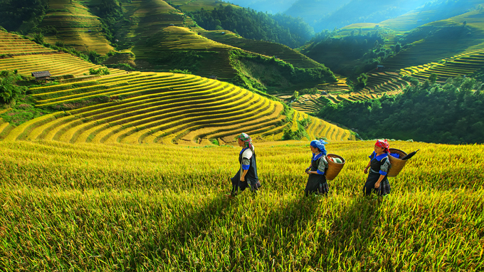 Tour du lịch Tây Bắc 5 ngày 4 đêm