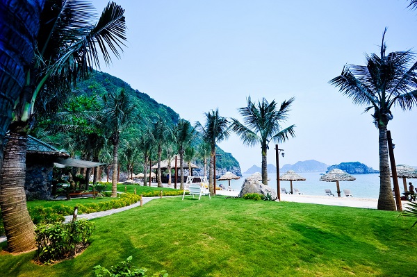Lịch trình đi phà ra đảo Cát Bà