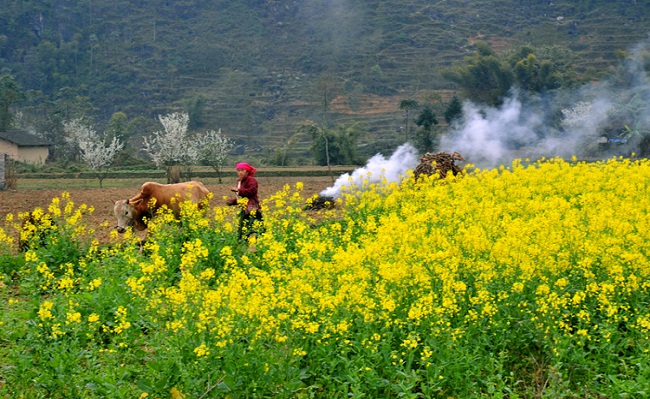 Tour du lịch Hà Giang 4 ngày Đồng Văn – Lũng Cú – Mèo Vạc