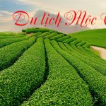 Chương trình tour Mộc Châu
