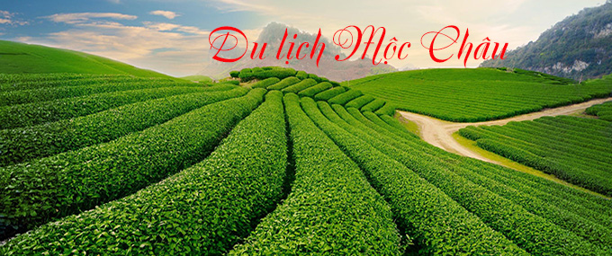 Chương trình tour Mộc Châu