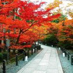 Tour Nhật Bản 4 ngày Tokyo- Núi Phú Sĩ – Yokohama-Free shopping