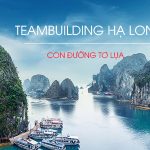 Giới thiệu tour du lịch Hạ Long kết hợp teambuilding đặc biệt
