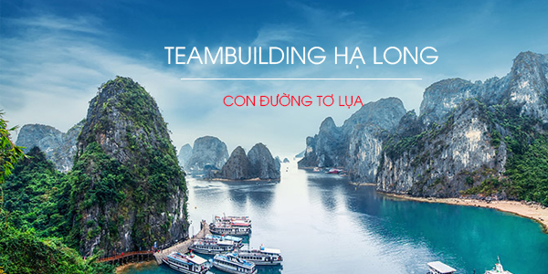 Giới thiệu tour du lịch Hạ Long kết hợp teambuilding đặc biệt